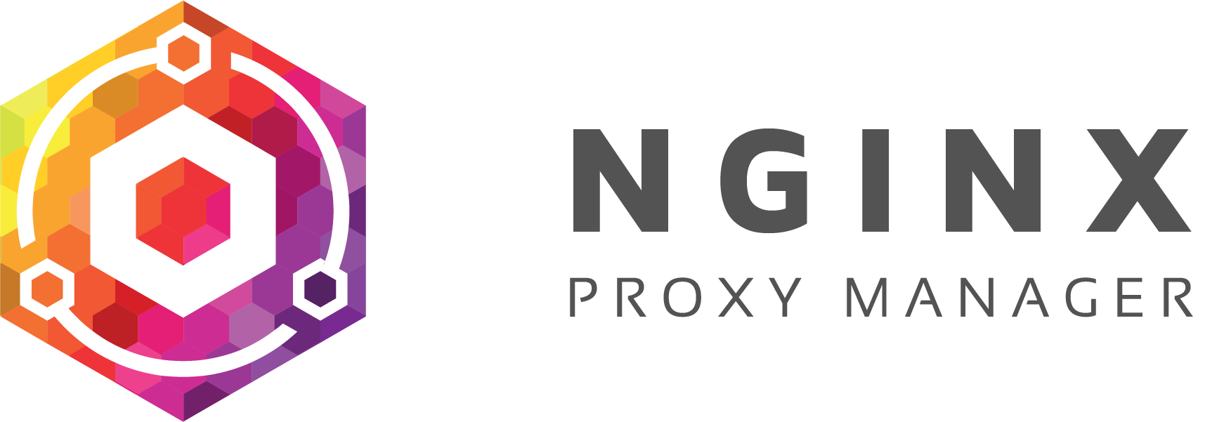 Nginx Proxy Manager 教程